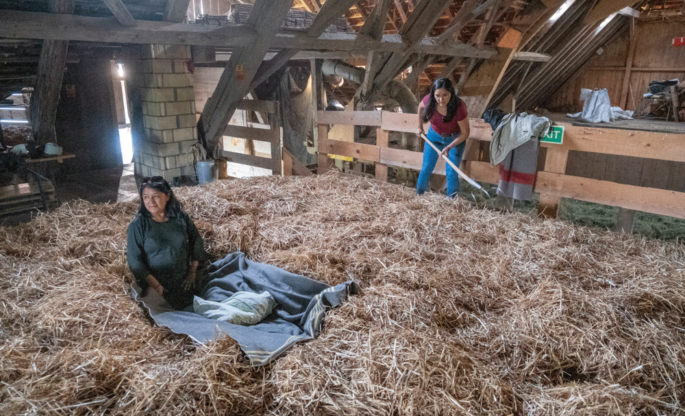 Schlafen im Stroh auf einem Bauernhof in Riggisberg 