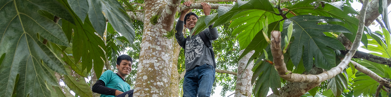 Lateinamerika Projektpartner