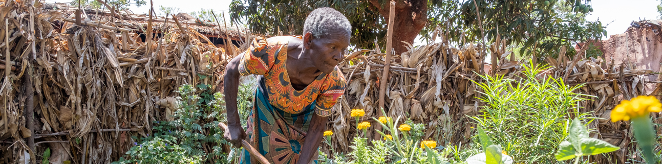 Afrika Partnerprojekte