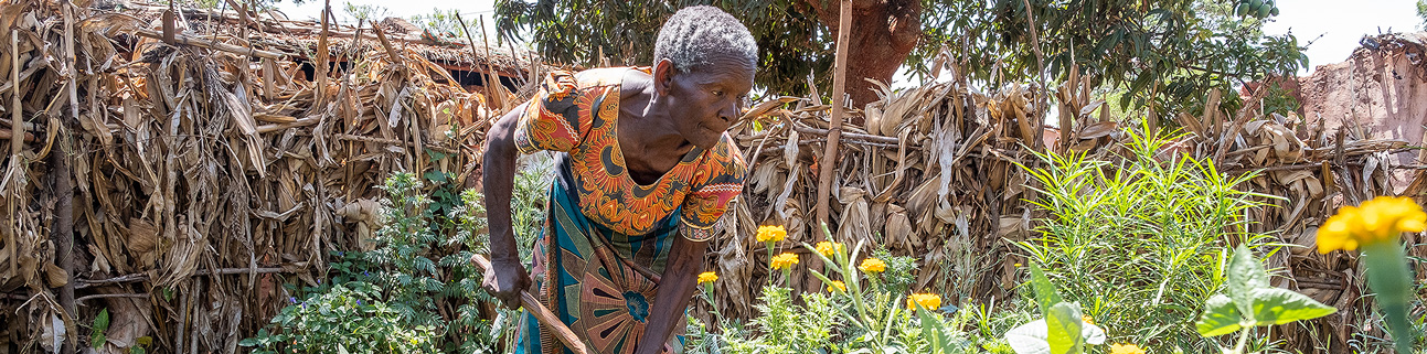 Afrika Partnerprojekte